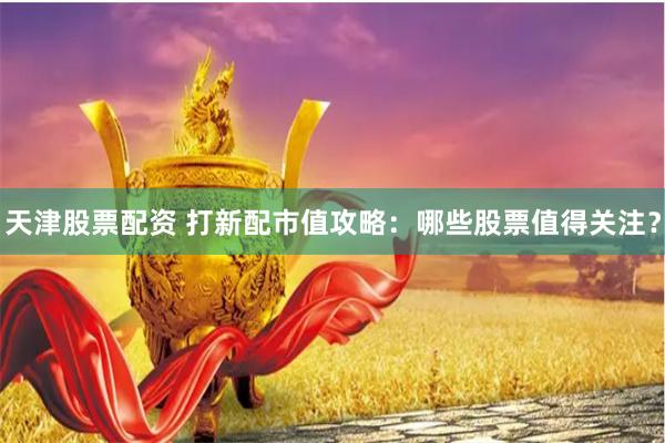 天津股票配资 打新配市值攻略：哪些股票值得关注？