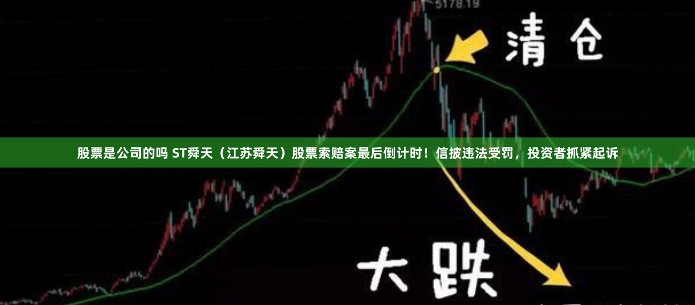 股票是公司的吗 ST舜天（江苏舜天）股票索赔案最后倒计时！信披违法受罚，投资者抓紧起诉