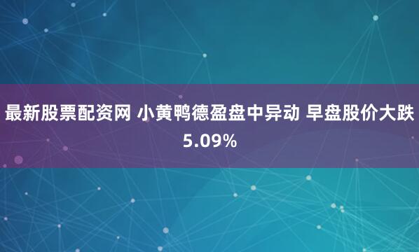 最新股票配资网 小黄鸭德盈盘中异动 早盘股价大跌5.09%
