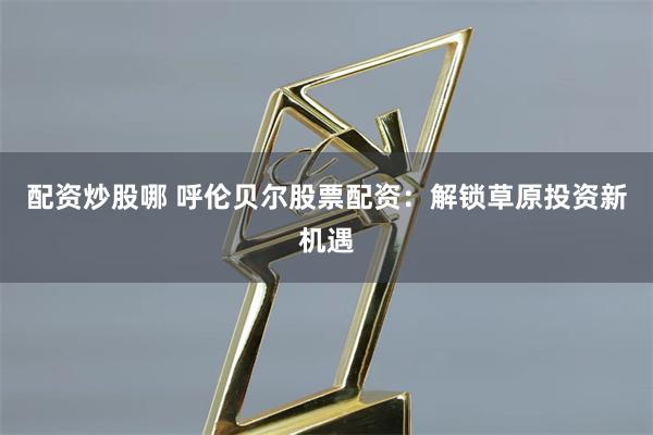 配资炒股哪 呼伦贝尔股票配资：解锁草原投资新机遇