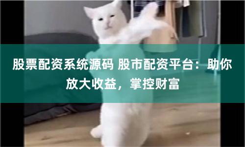 股票配资系统源码 股市配资平台：助你放大收益，掌控财富