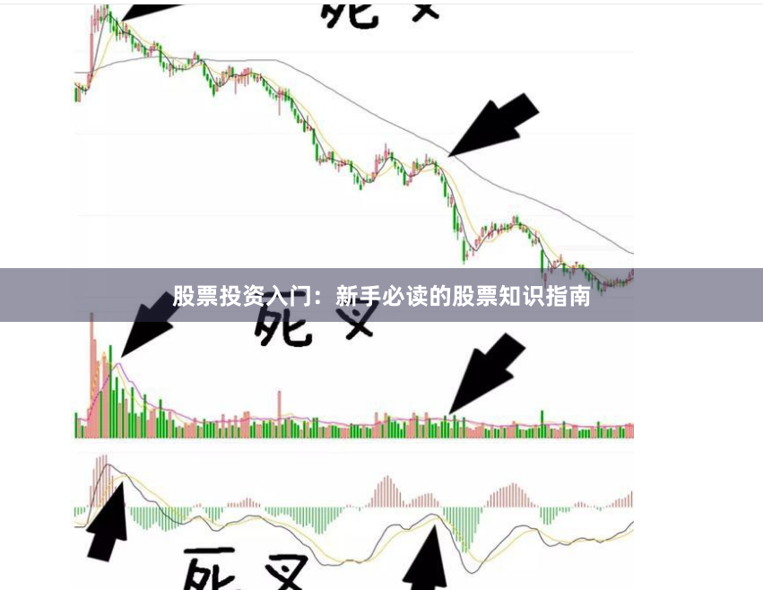 股票投资入门：新手必读的股票知识指南
