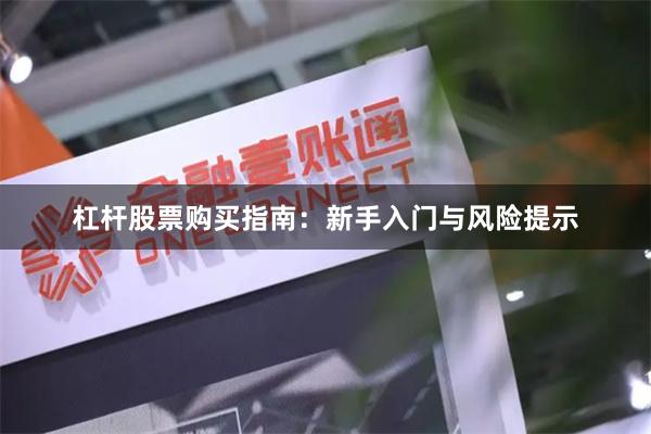 杠杆股票购买指南：新手入门与风险提示